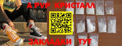 jwh Кингисепп